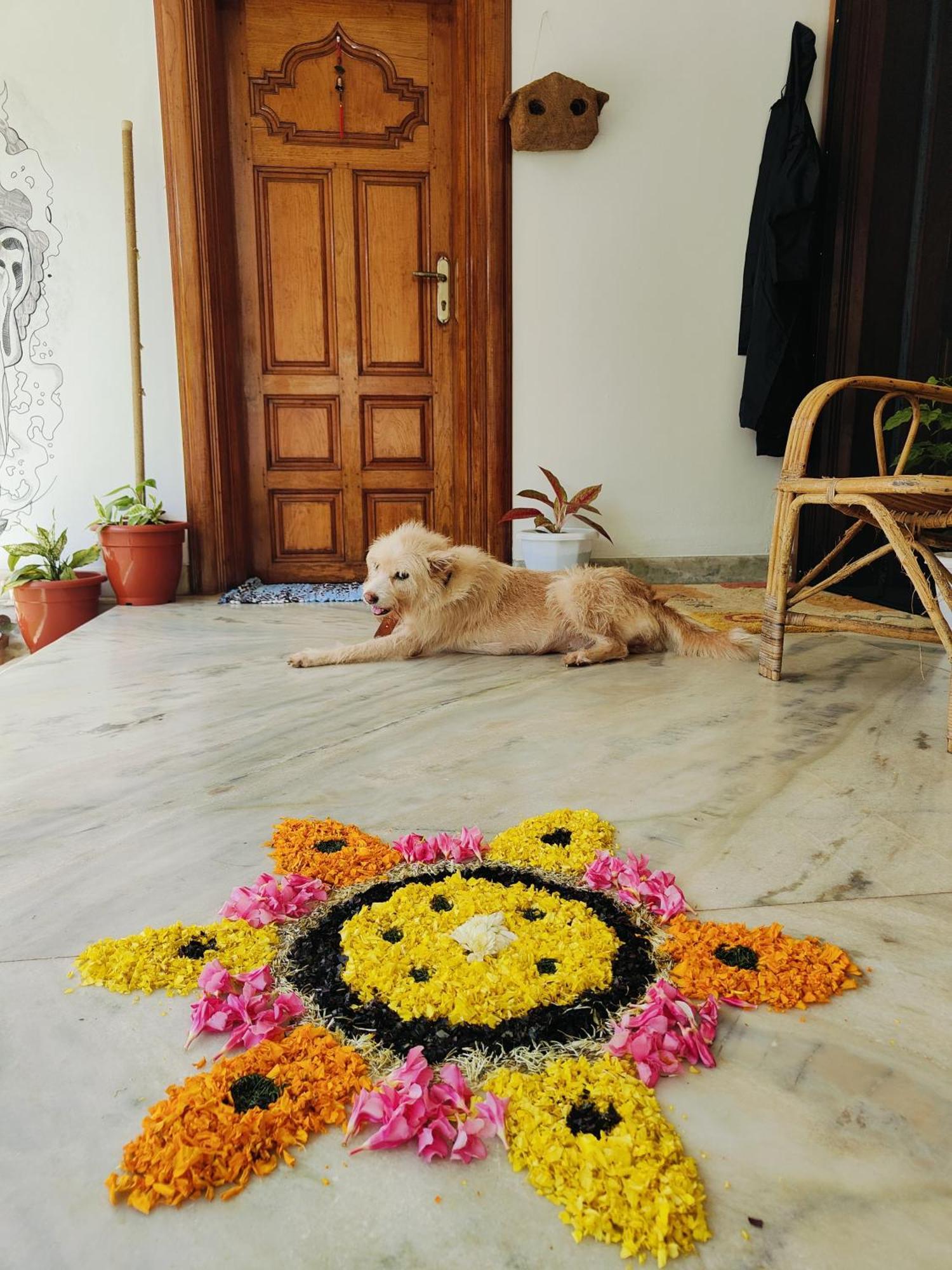 Shamak Homestay Varkala Exterior photo